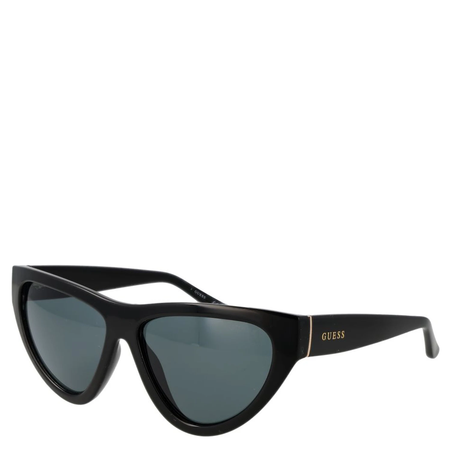 Black Plastic Sunglasses