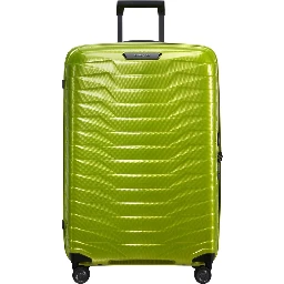 SAMSONITE Accessories Green