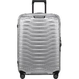 SAMSONITE Accessories Silver