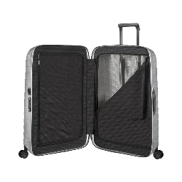 SAMSONITE Accessories Silver
