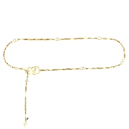 Gold Brass Regular Belt