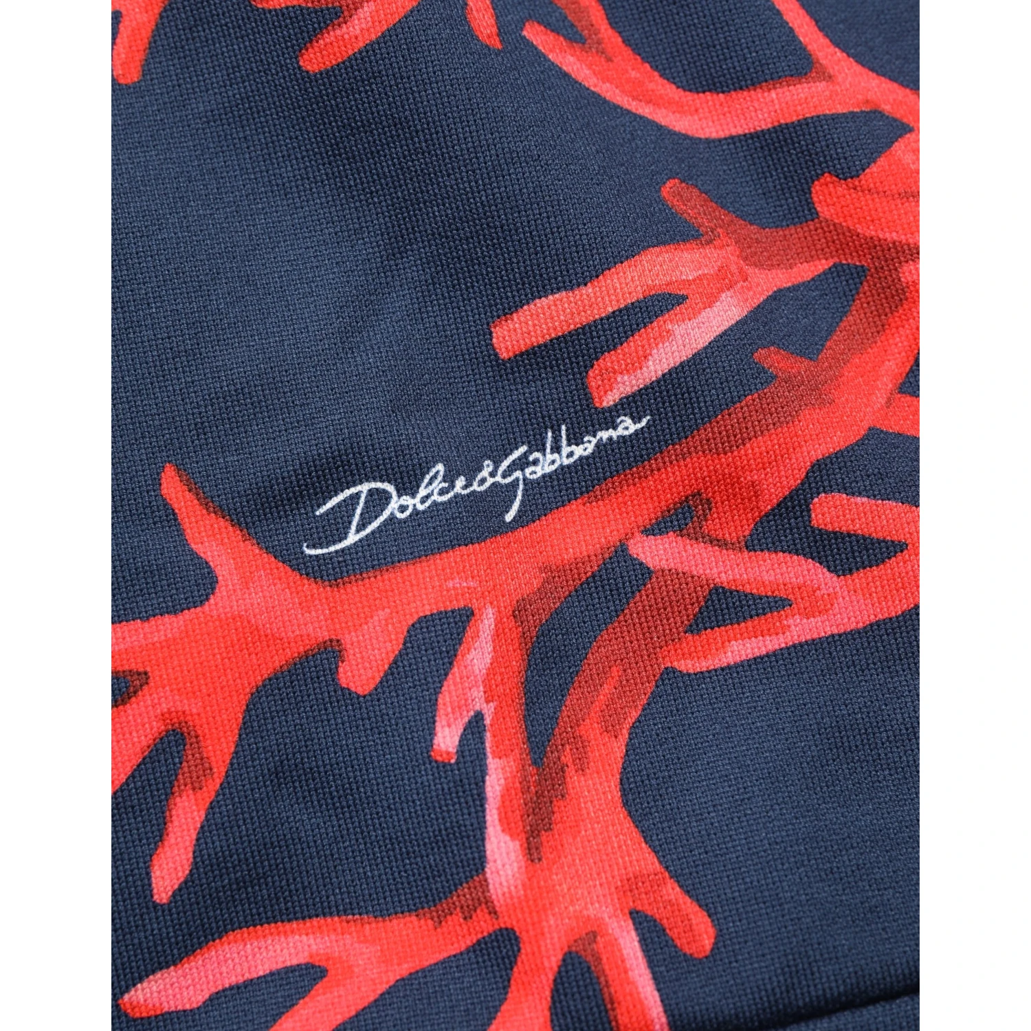 Blue Cotton Coral Logo Hooded Sweatshirt Sweater