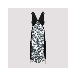 Bottega Veneta Printed Silk Long Dress