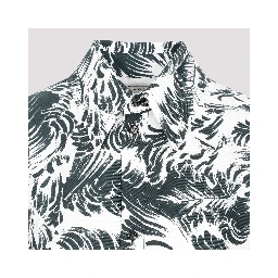 Bottega Veneta Silk Shirt