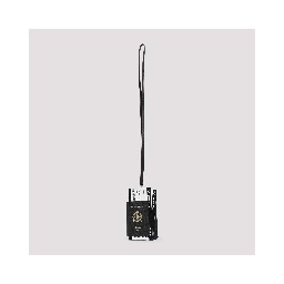 Balenciaga Passport Phone Holder