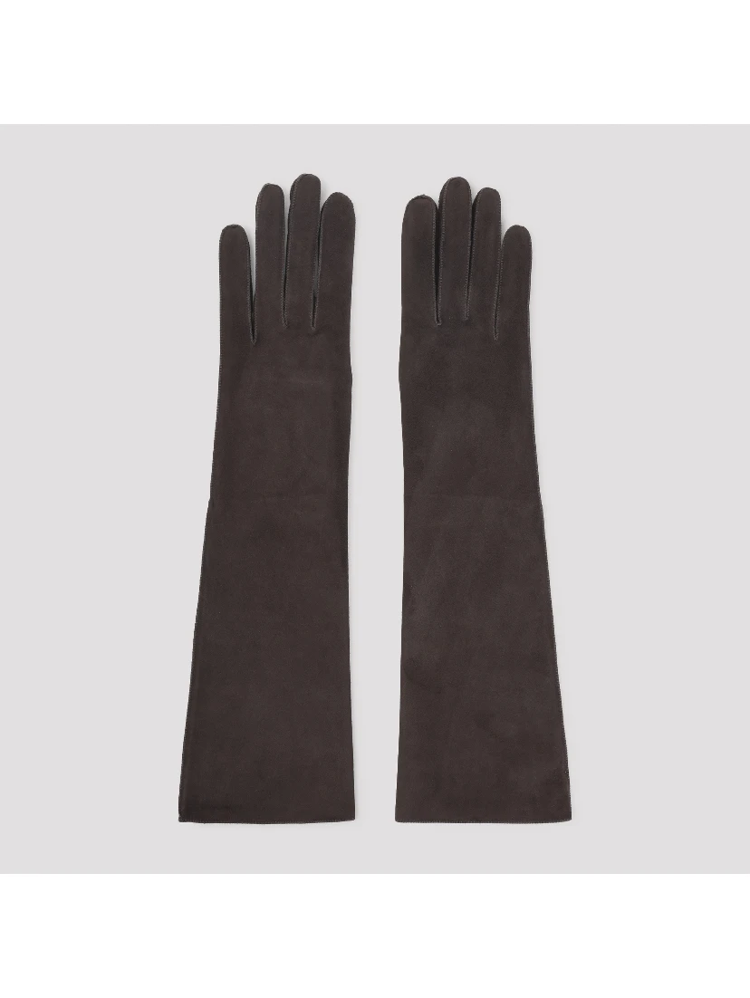 Lanvin Long Slim Gloves