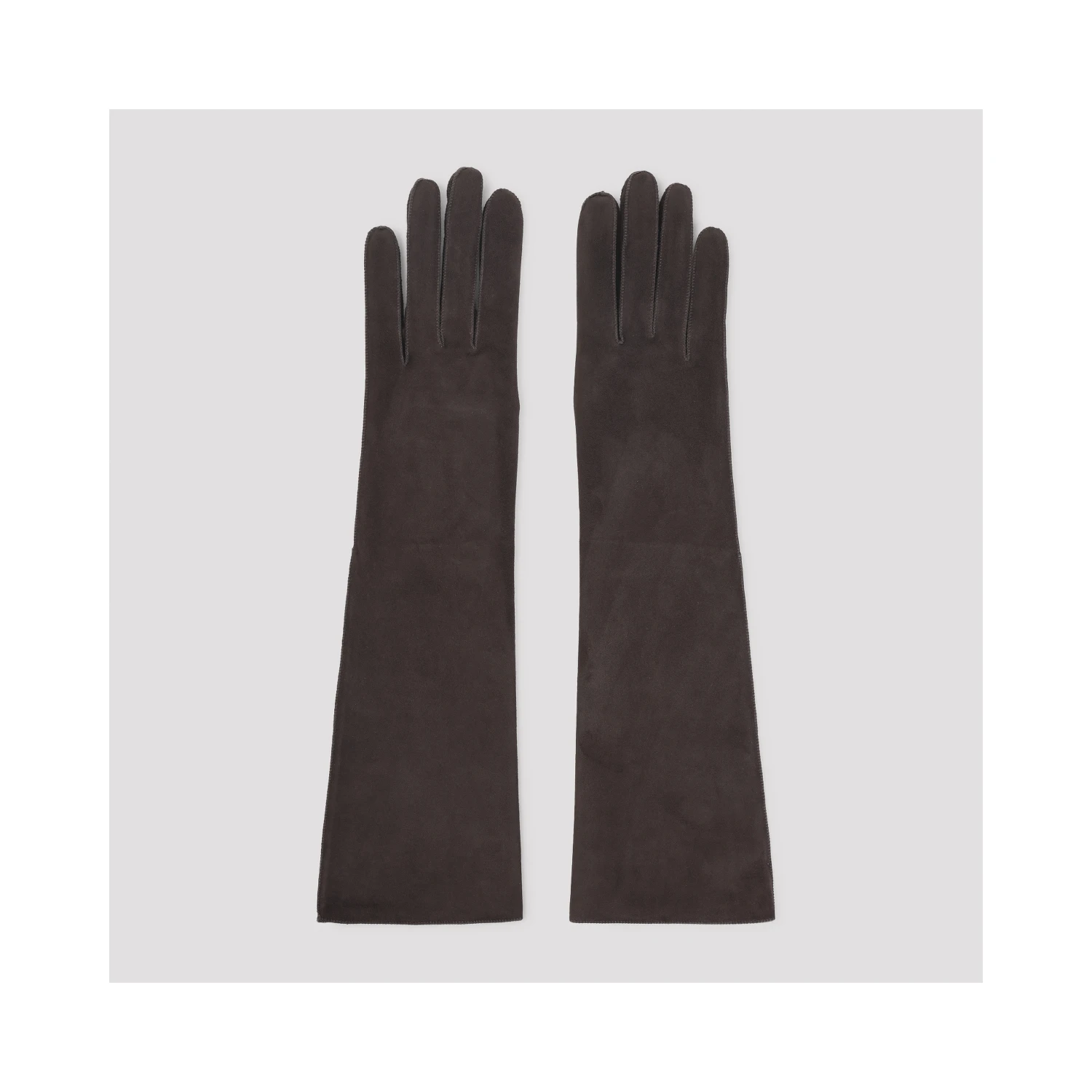 Lanvin Long Slim Gloves