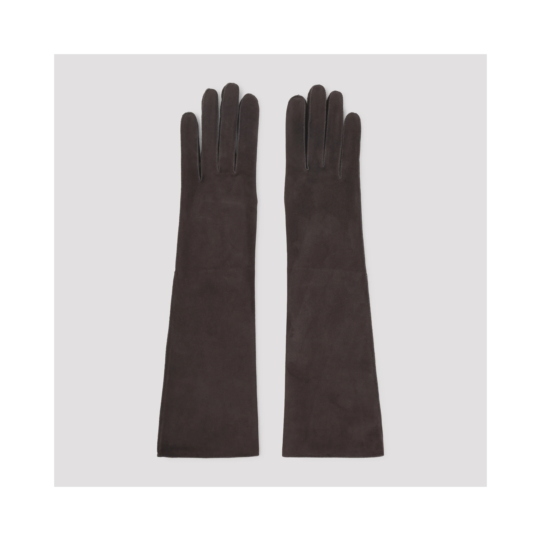 Lanvin Long Slim Gloves