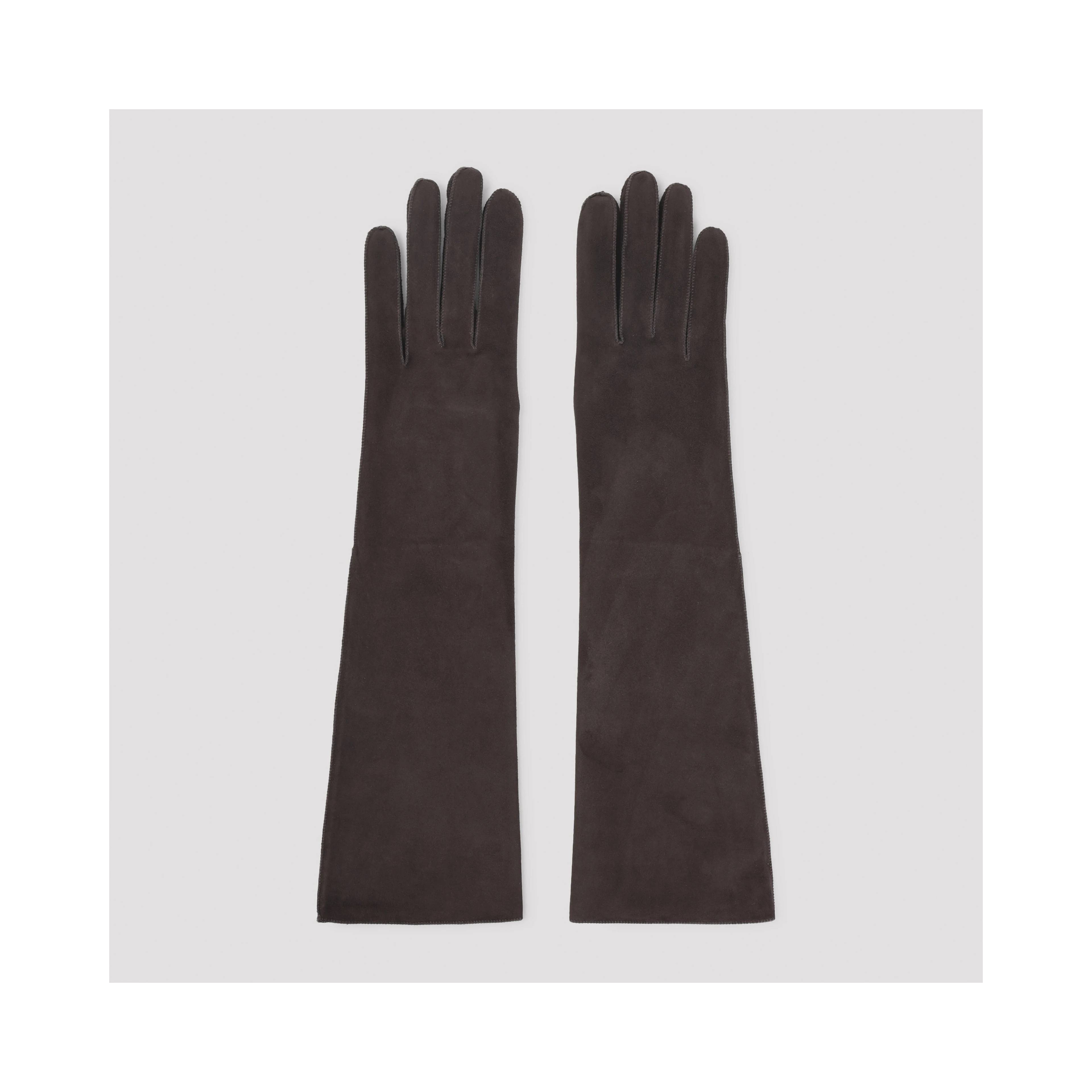 Lanvin Long Slim Gloves