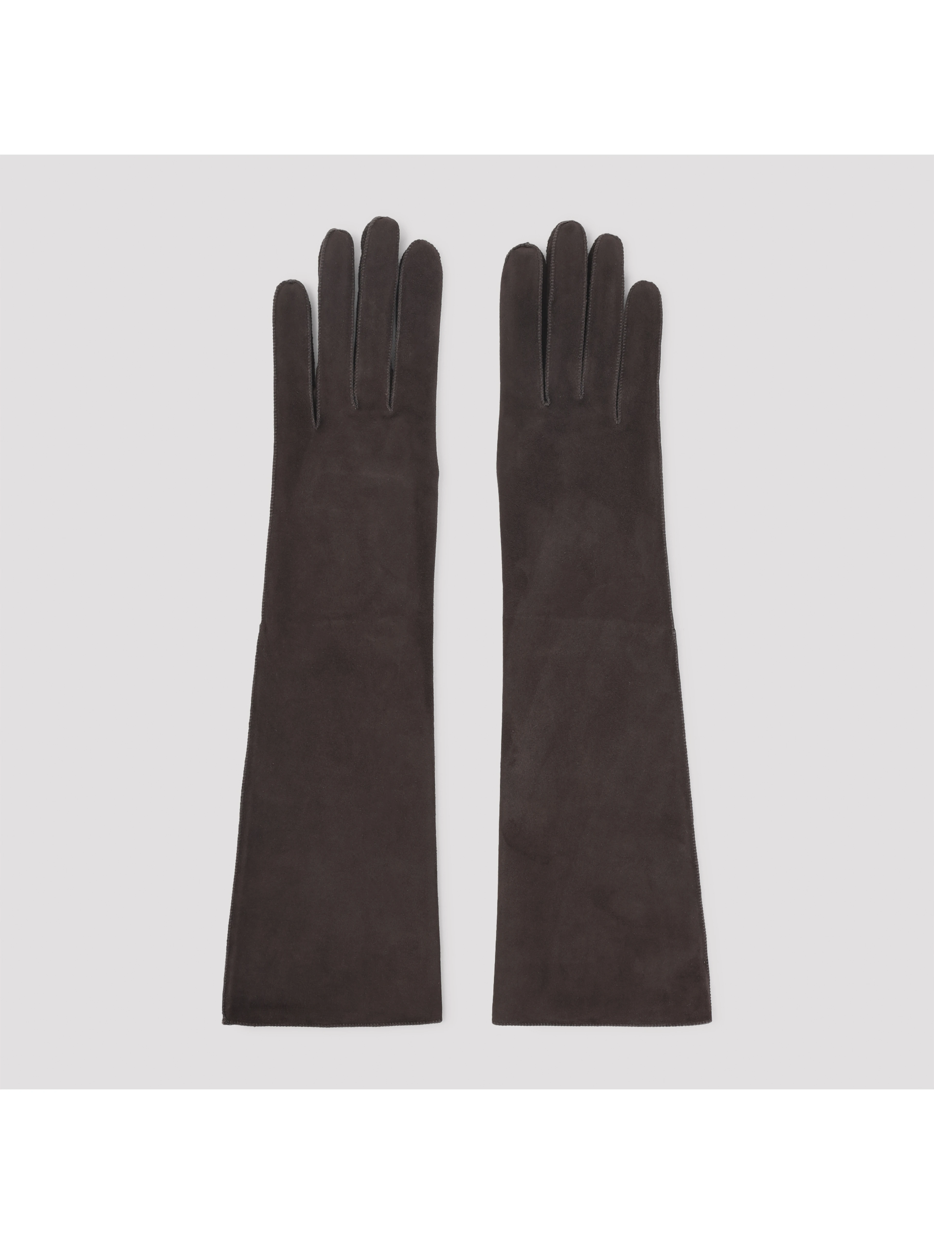 Lanvin Long Slim Gloves