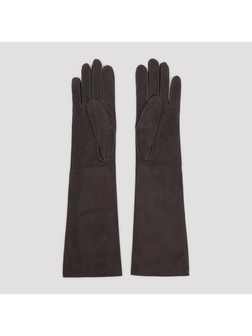 Lanvin Long Slim Gloves