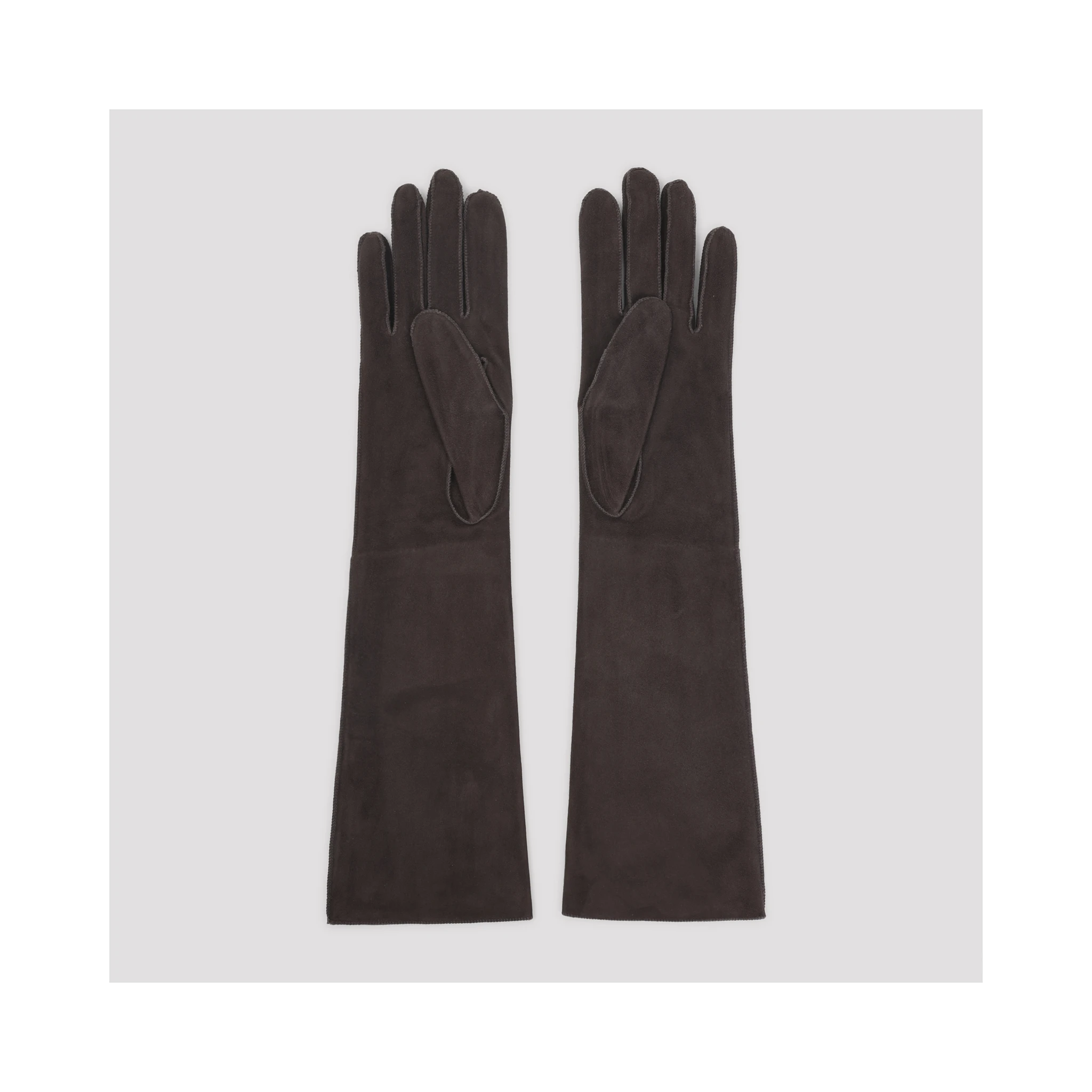 Lanvin Long Slim Gloves