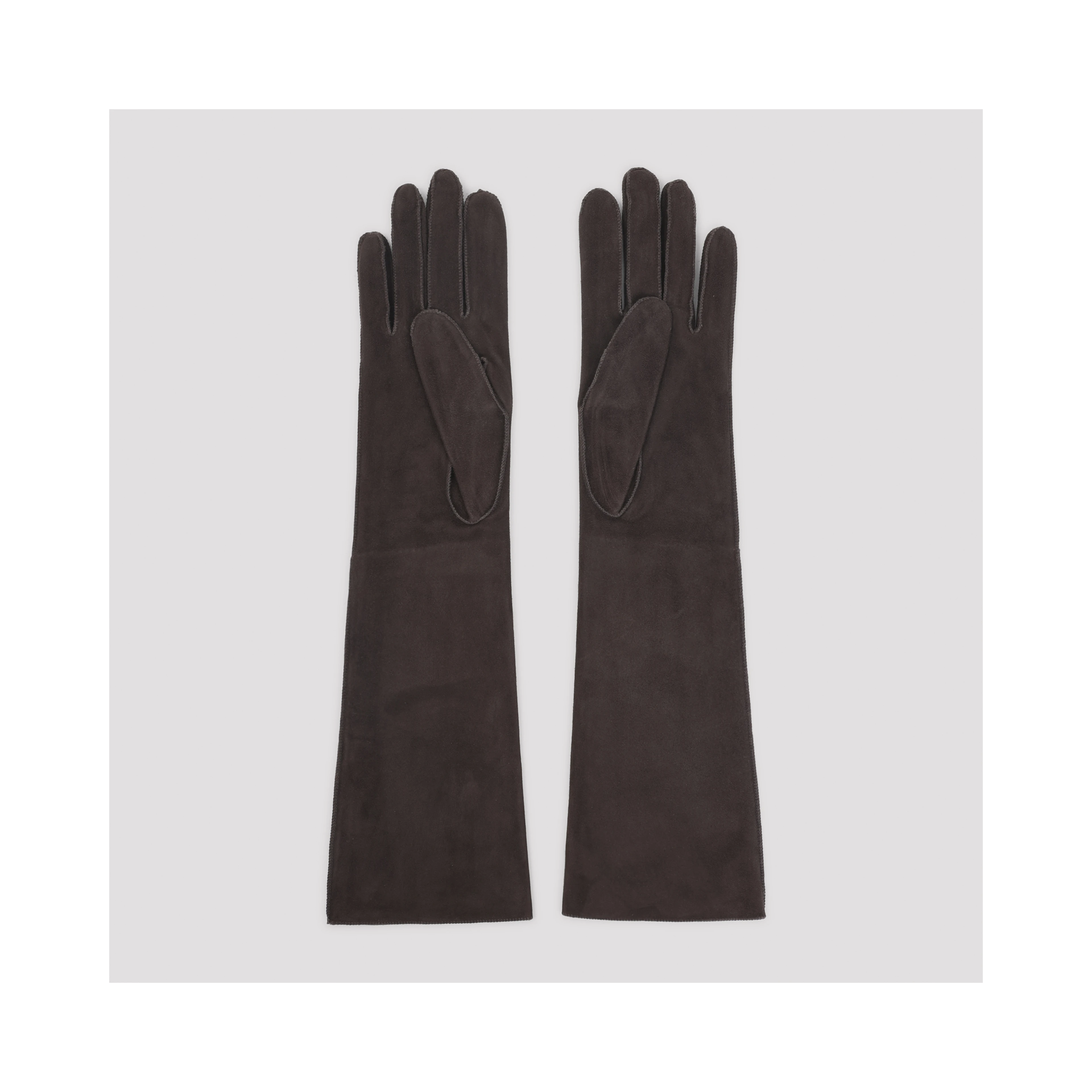 Lanvin Long Slim Gloves