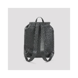 Celine Large Folco Backpack