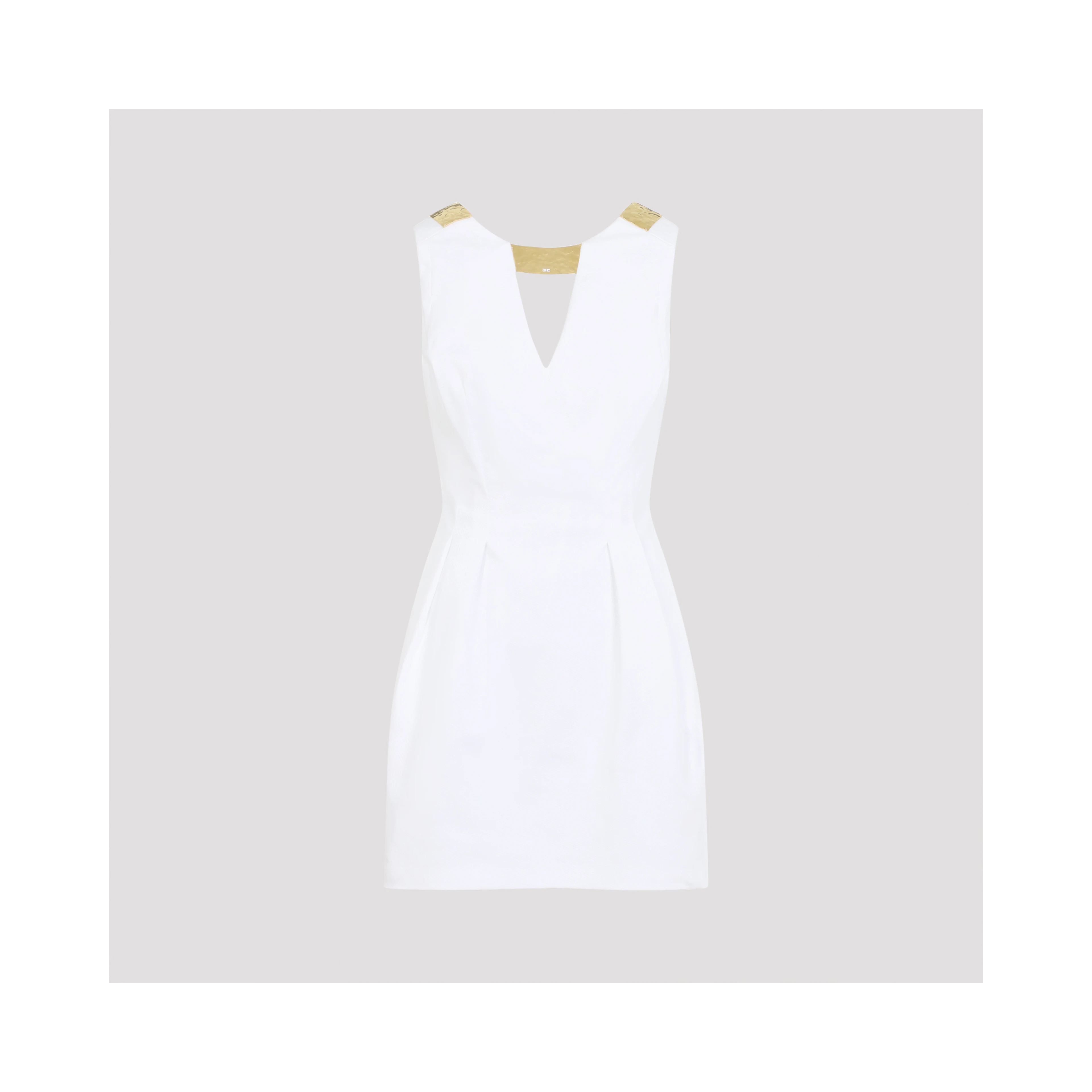 Elisabetta Franchi Mini Dress With Gold Detail