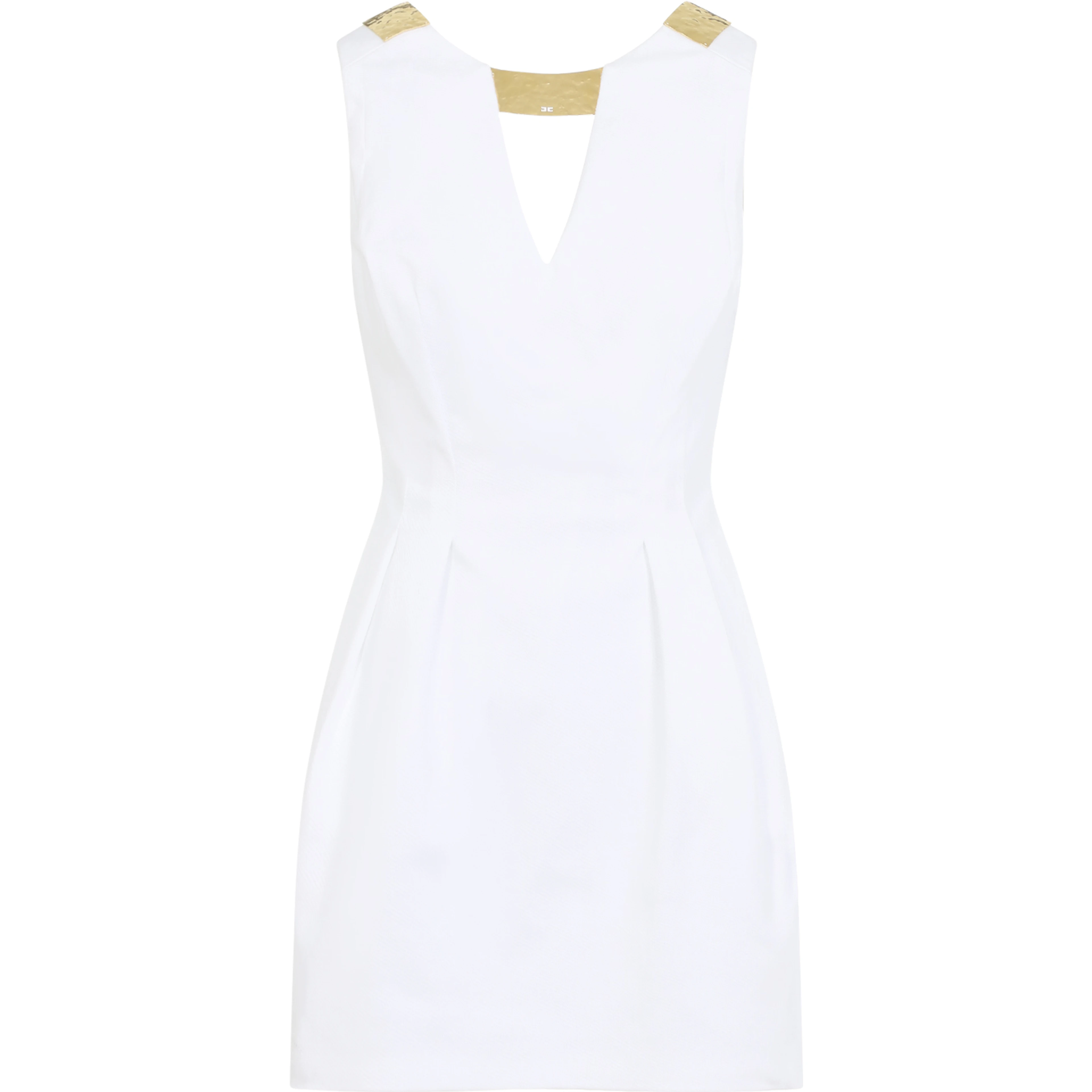 Elisabetta Franchi Mini Dress With Gold Detail