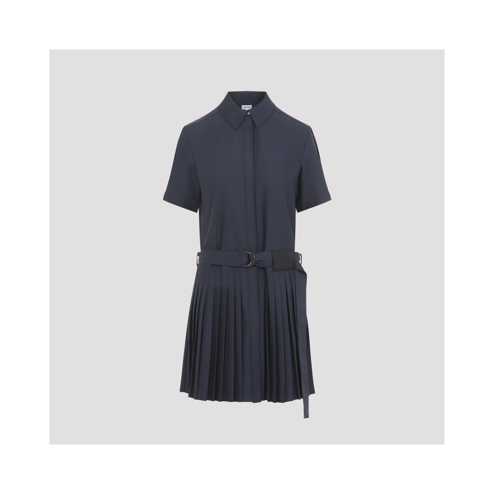 Loewe Pleated Dress