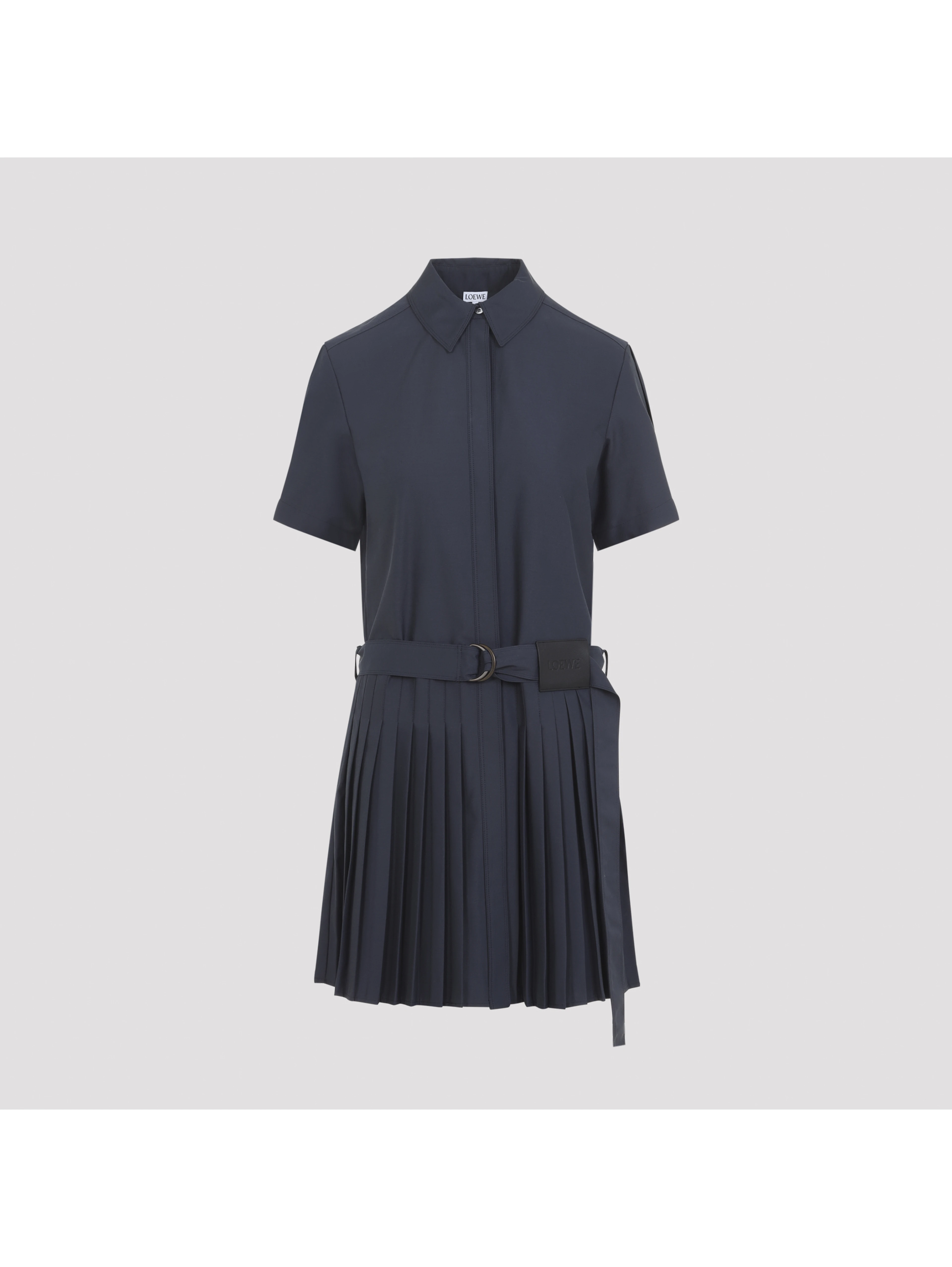 Loewe Pleated Dress