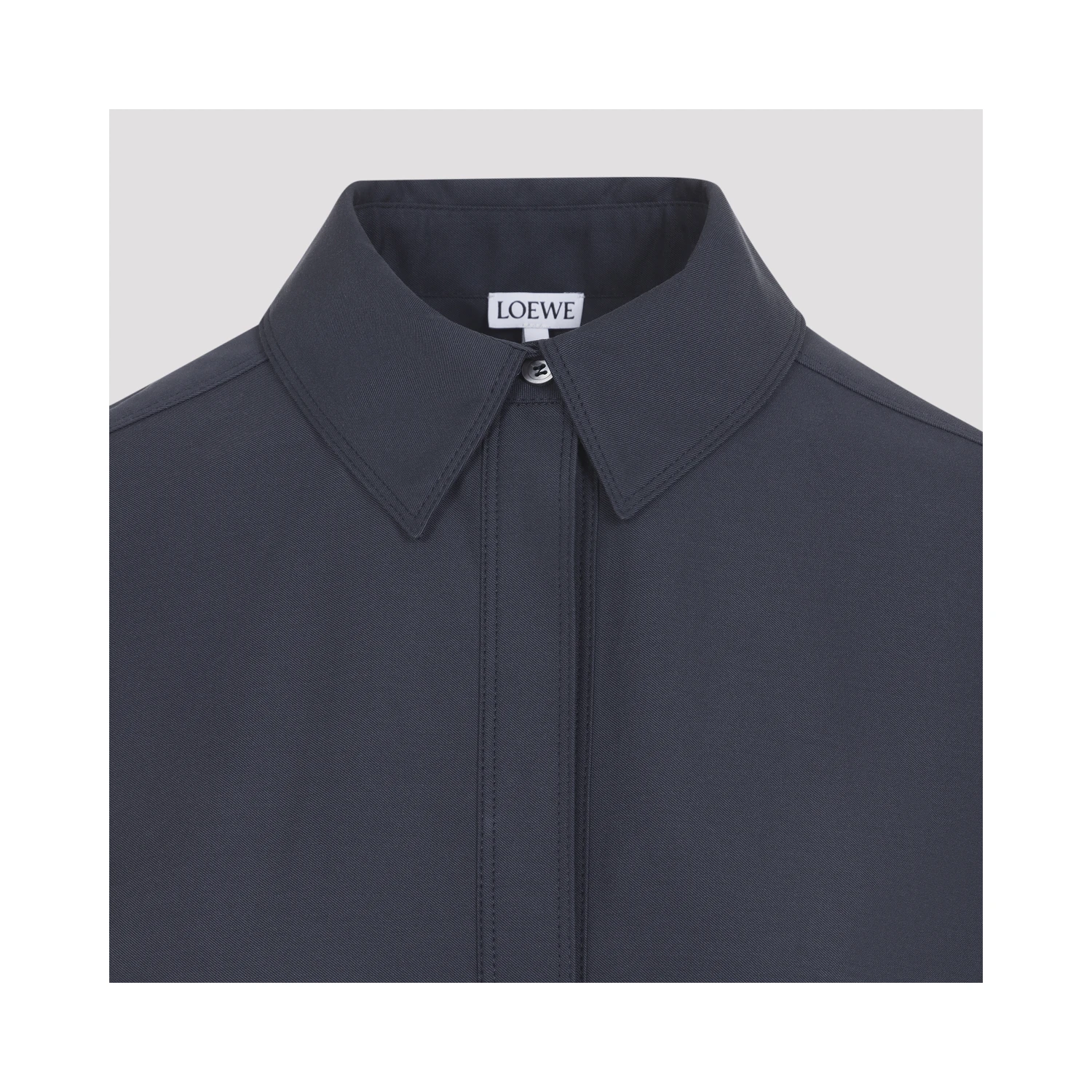 Loewe Pleated Dress