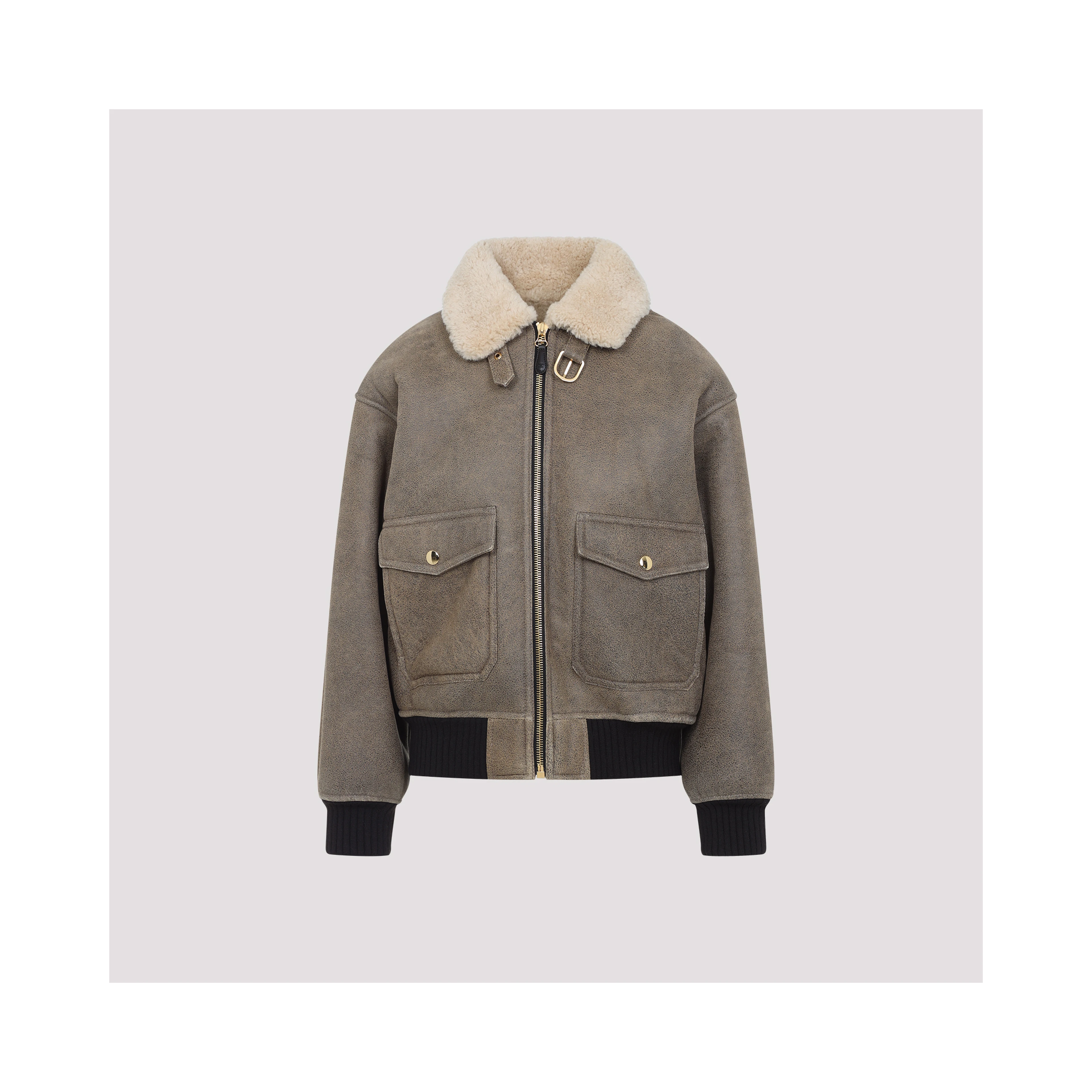 Celine Aviateur Brode Blouson
