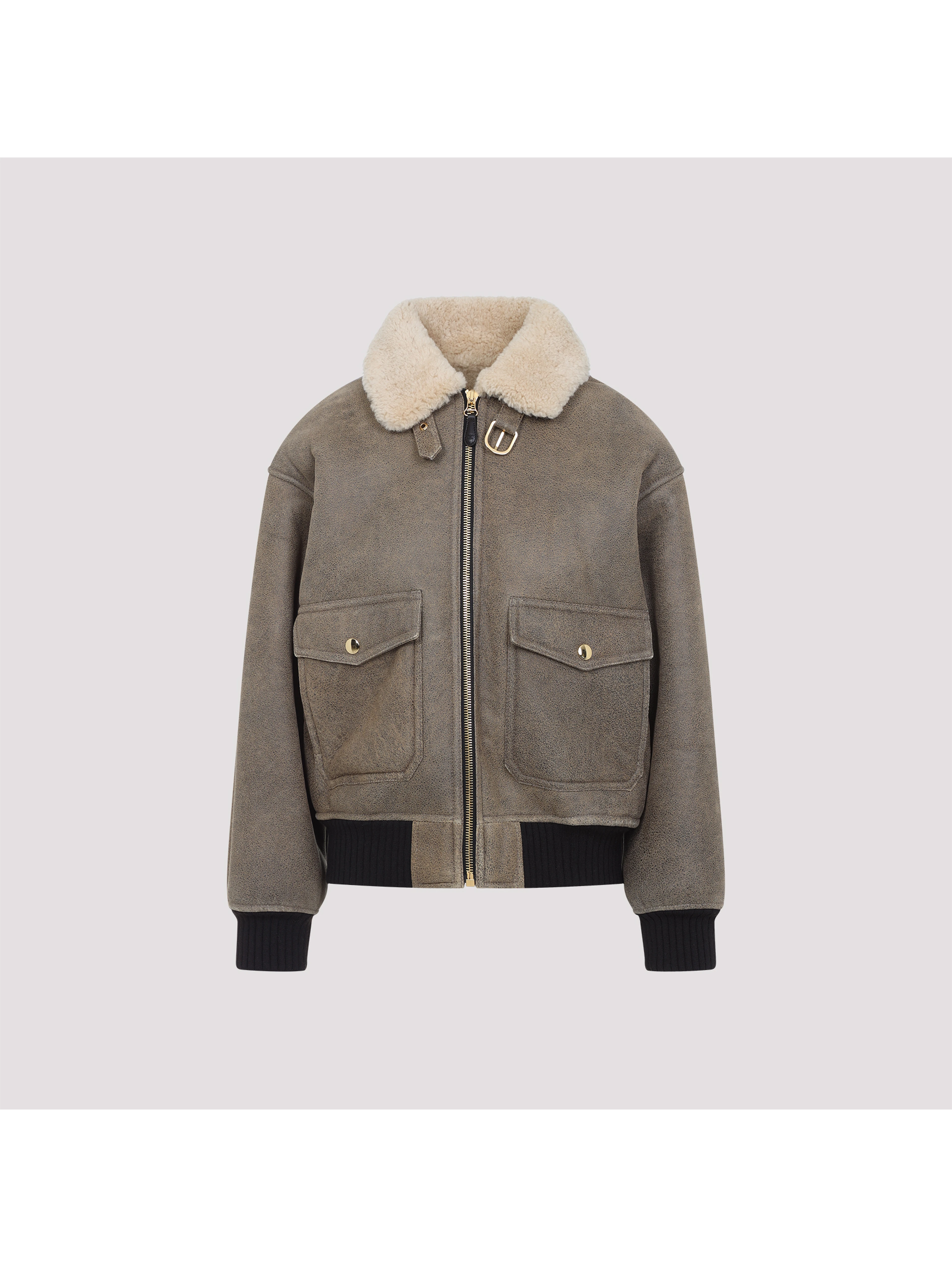 Celine Aviateur Brode Blouson