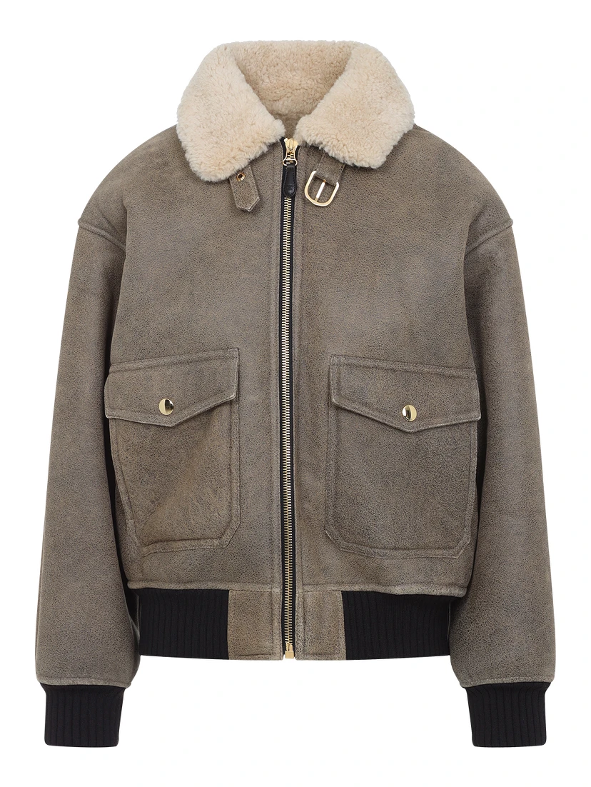 Celine Aviateur Brode Blouson