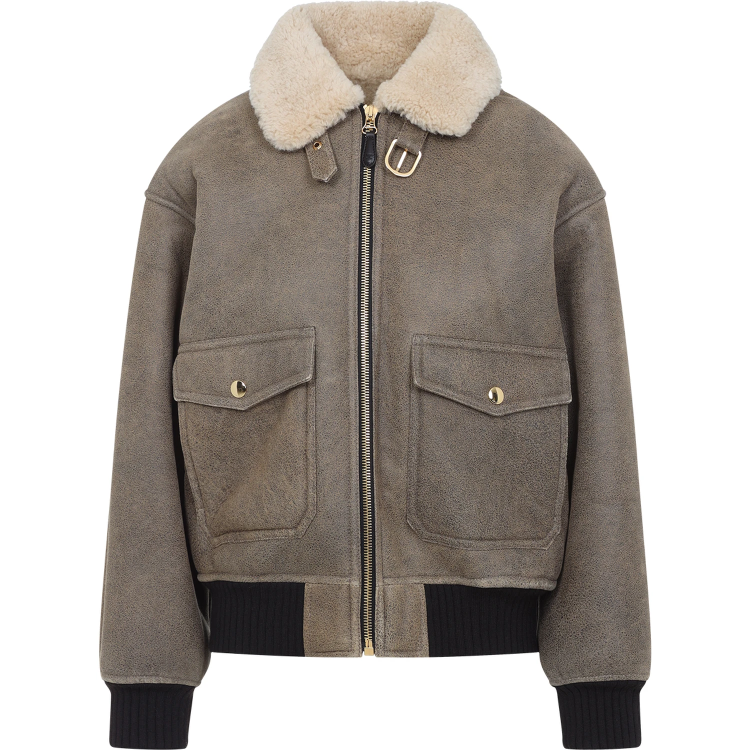 Celine Aviateur Brode Blouson