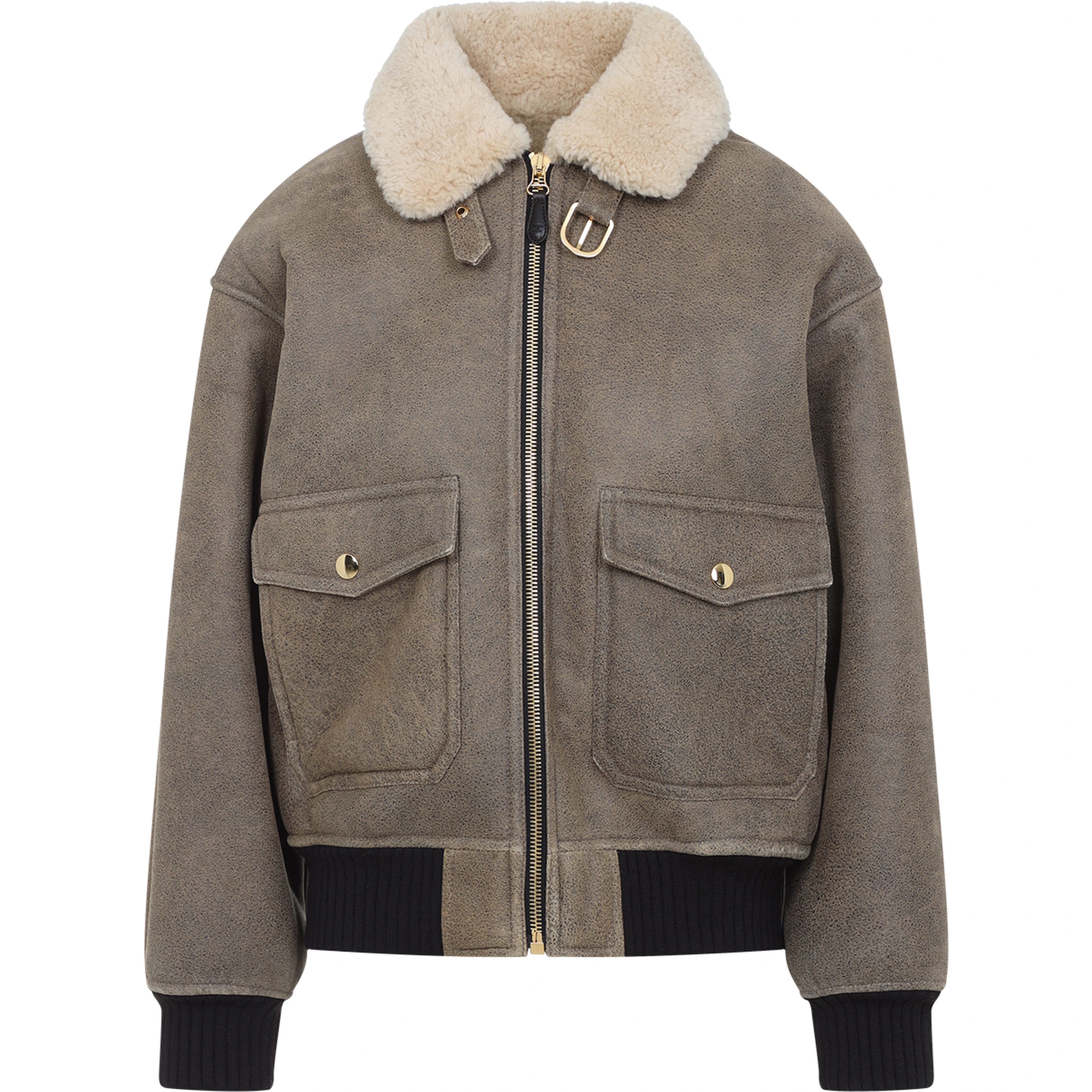 Celine Aviateur Brode Blouson