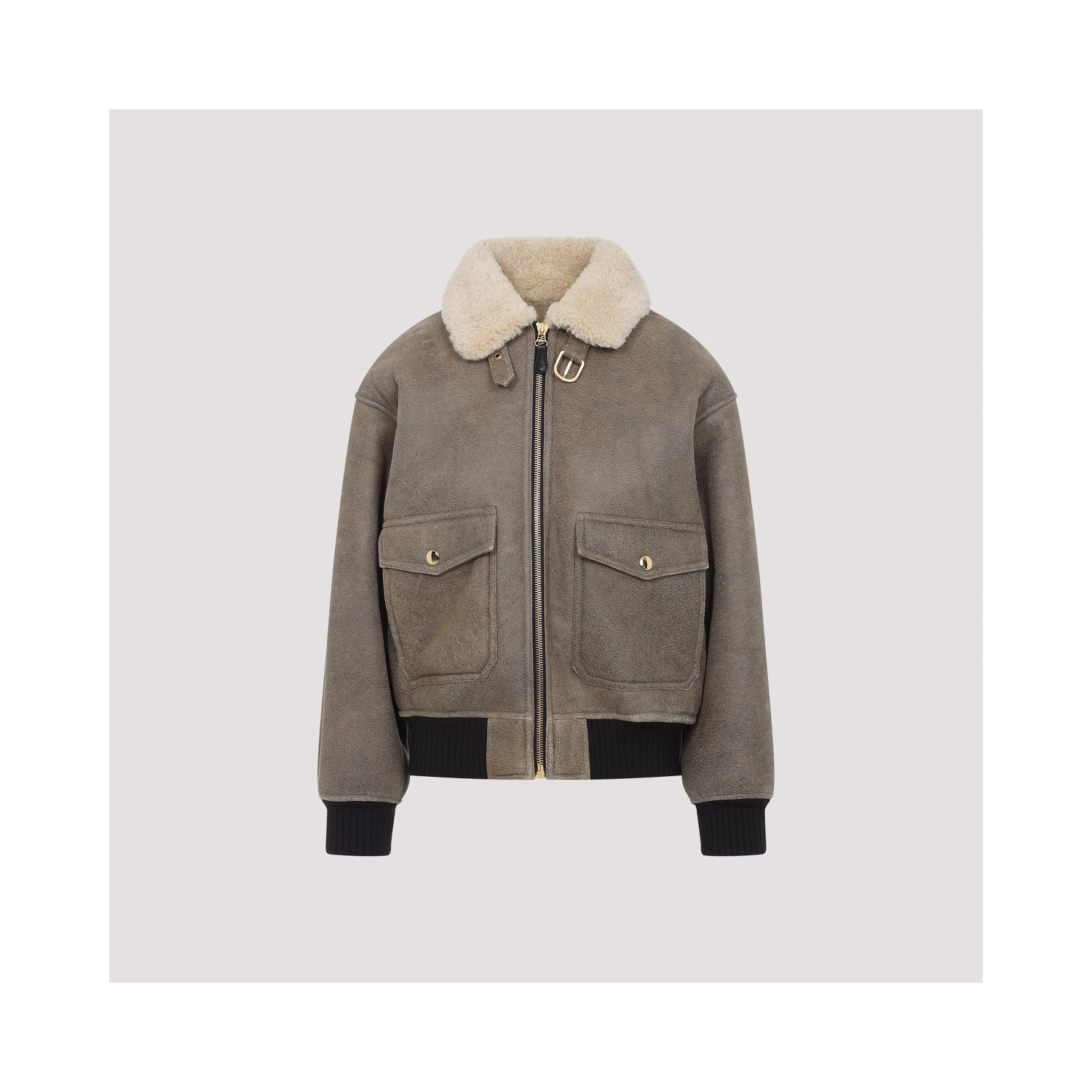 Celine Aviateur Brode Blouson