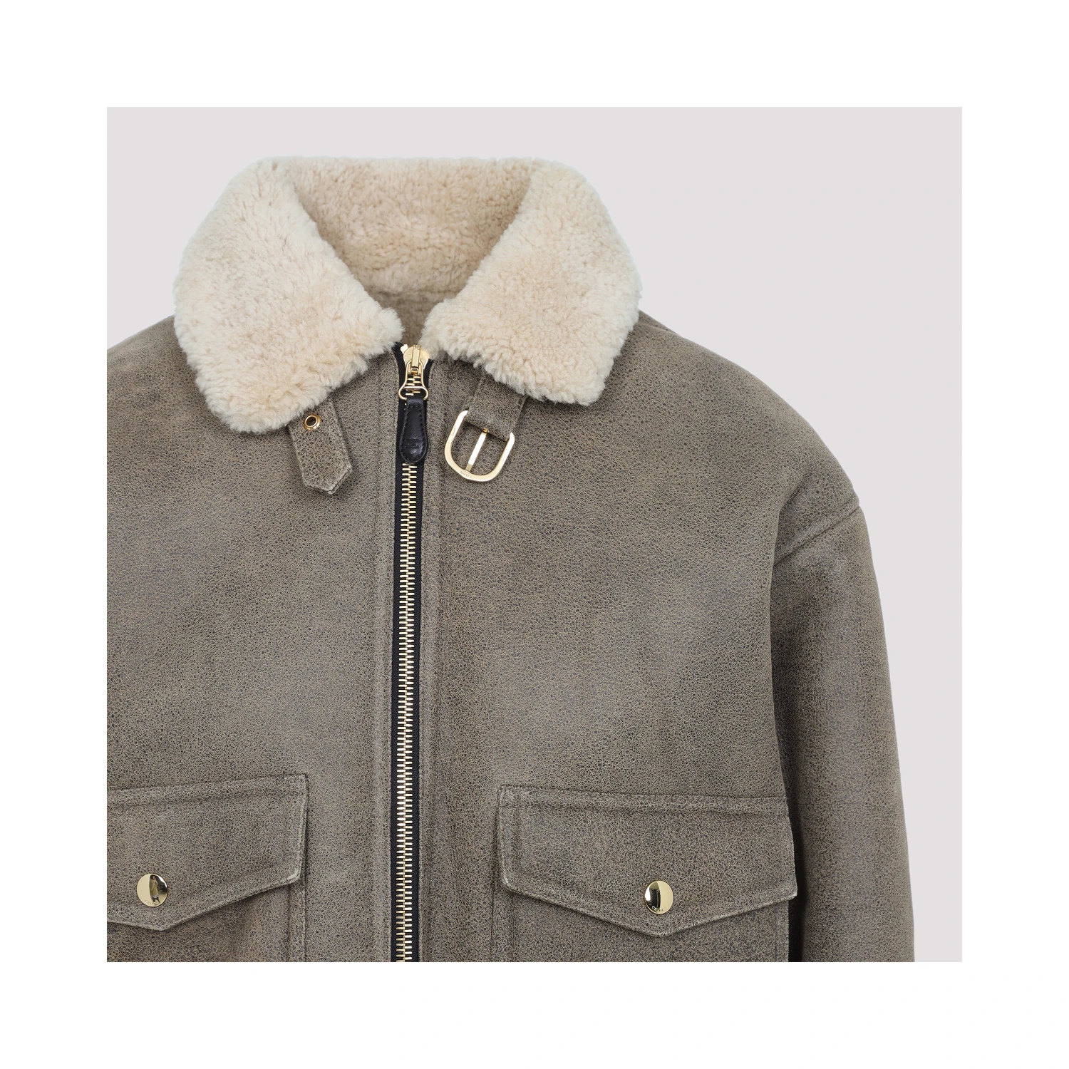 Celine Aviateur Brode Blouson