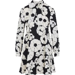 Celine Mini Dress