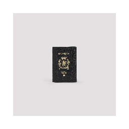 Balenciaga Passport Holder