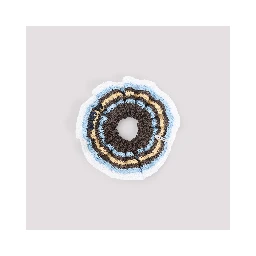 Miu Miu Cotton Scrunchie