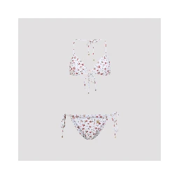 Dolce & Gabbana Bikini