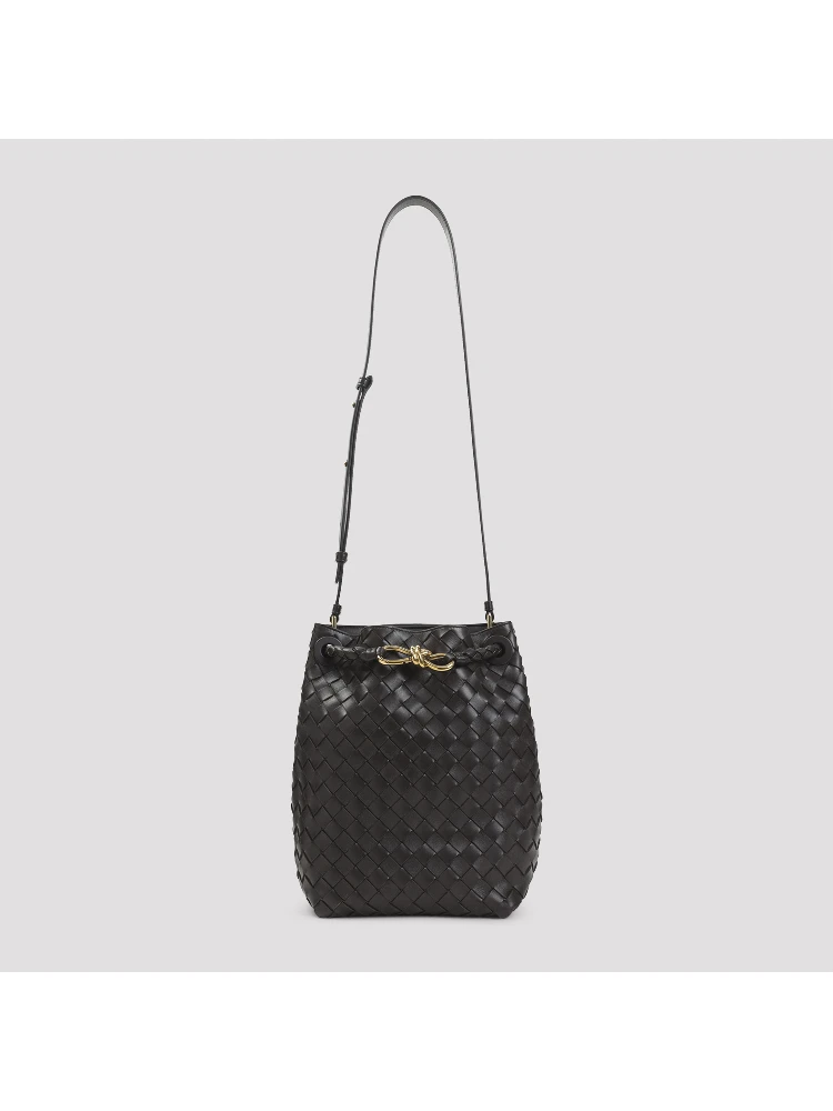 Bottega Veneta Andiamo Bucket Bag