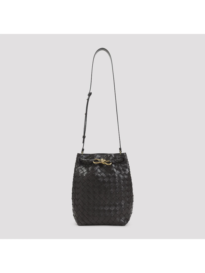 Bottega Veneta Andiamo Bucket Bag
