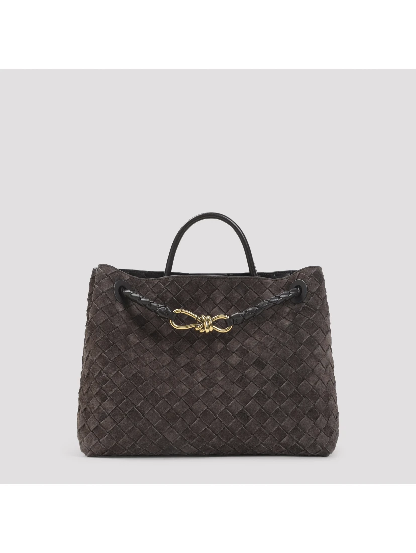 Bottega Veneta Medium Andiamo Bag