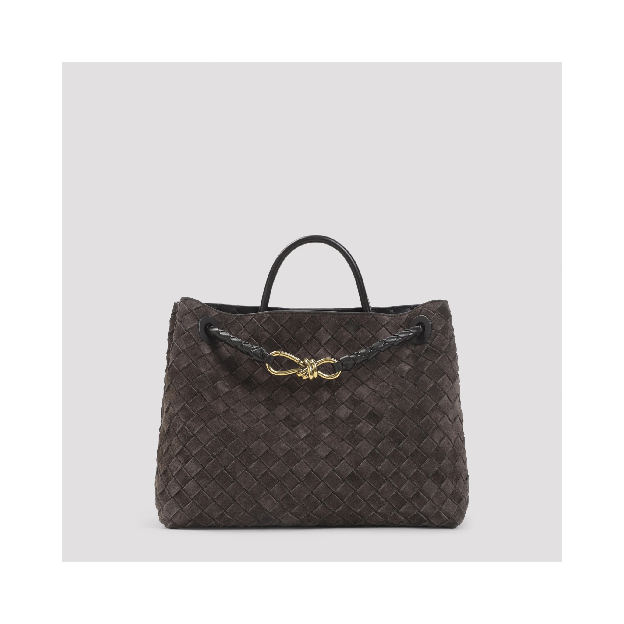 Bottega Veneta Medium Andiamo Bag