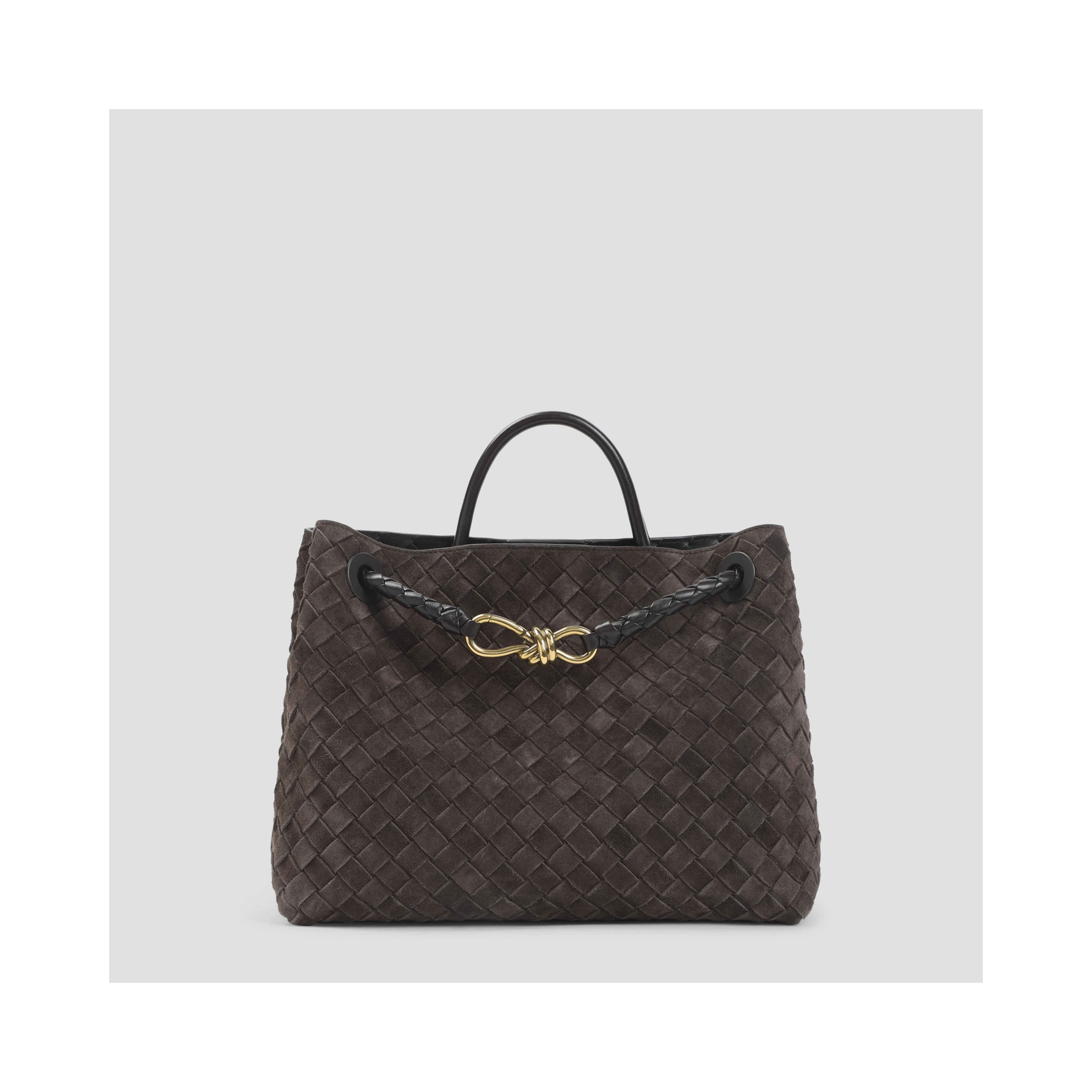 Bottega Veneta Medium Andiamo Bag