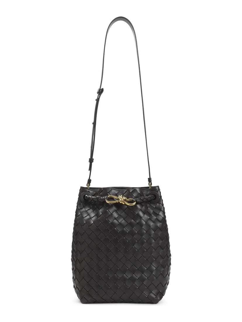 Bottega Veneta Andiamo Bucket Bag