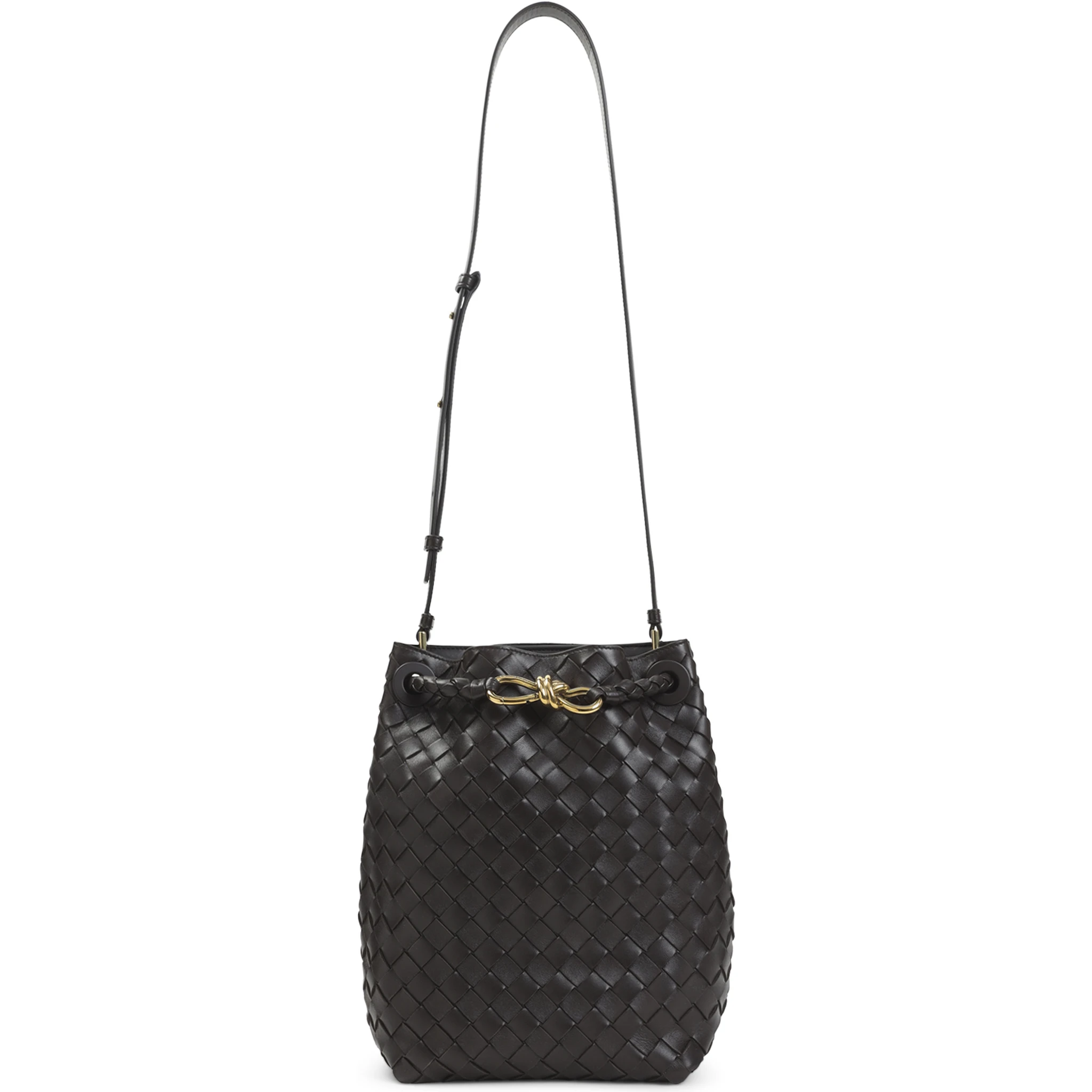 Bottega Veneta Andiamo Bucket Bag