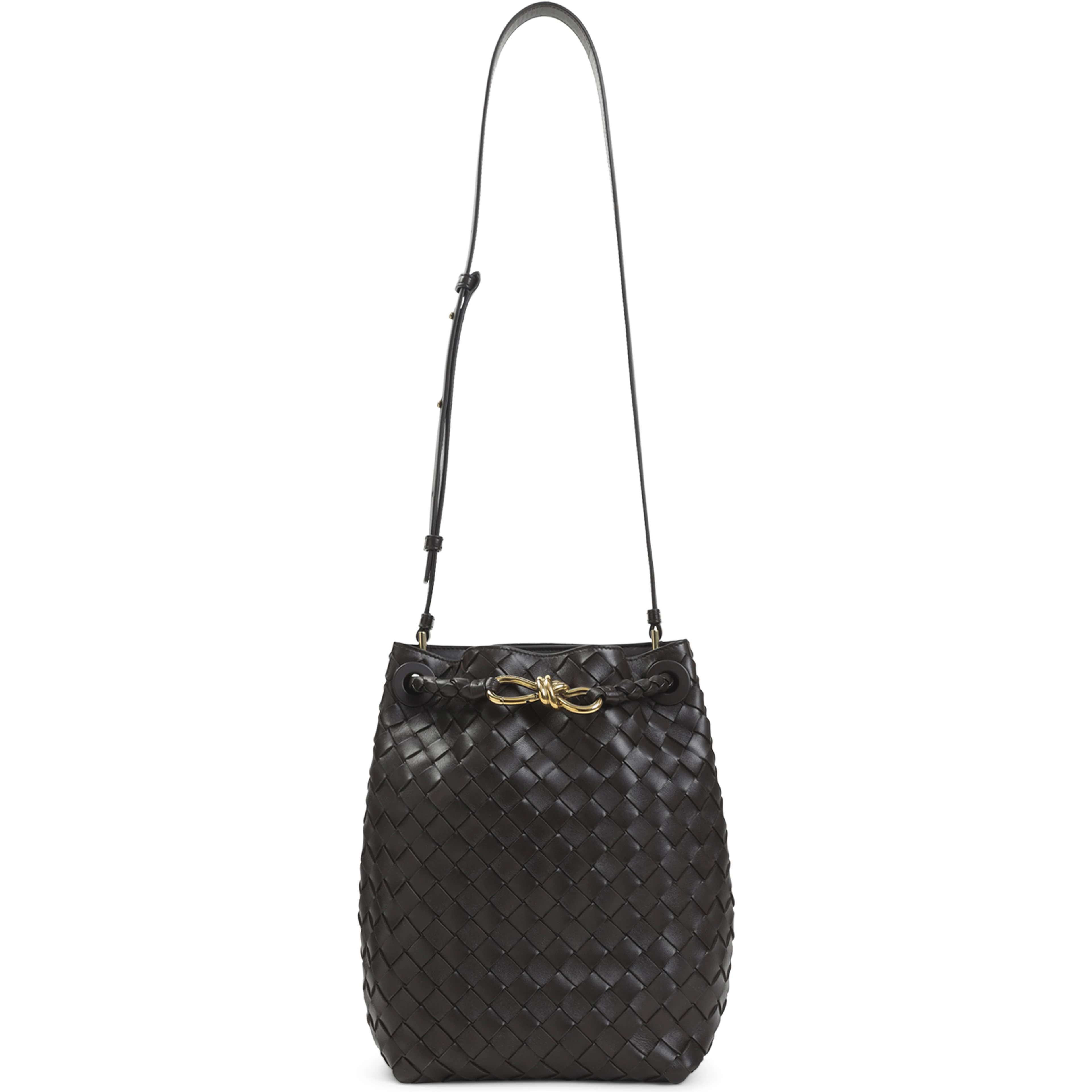 Bottega Veneta Andiamo Bucket Bag