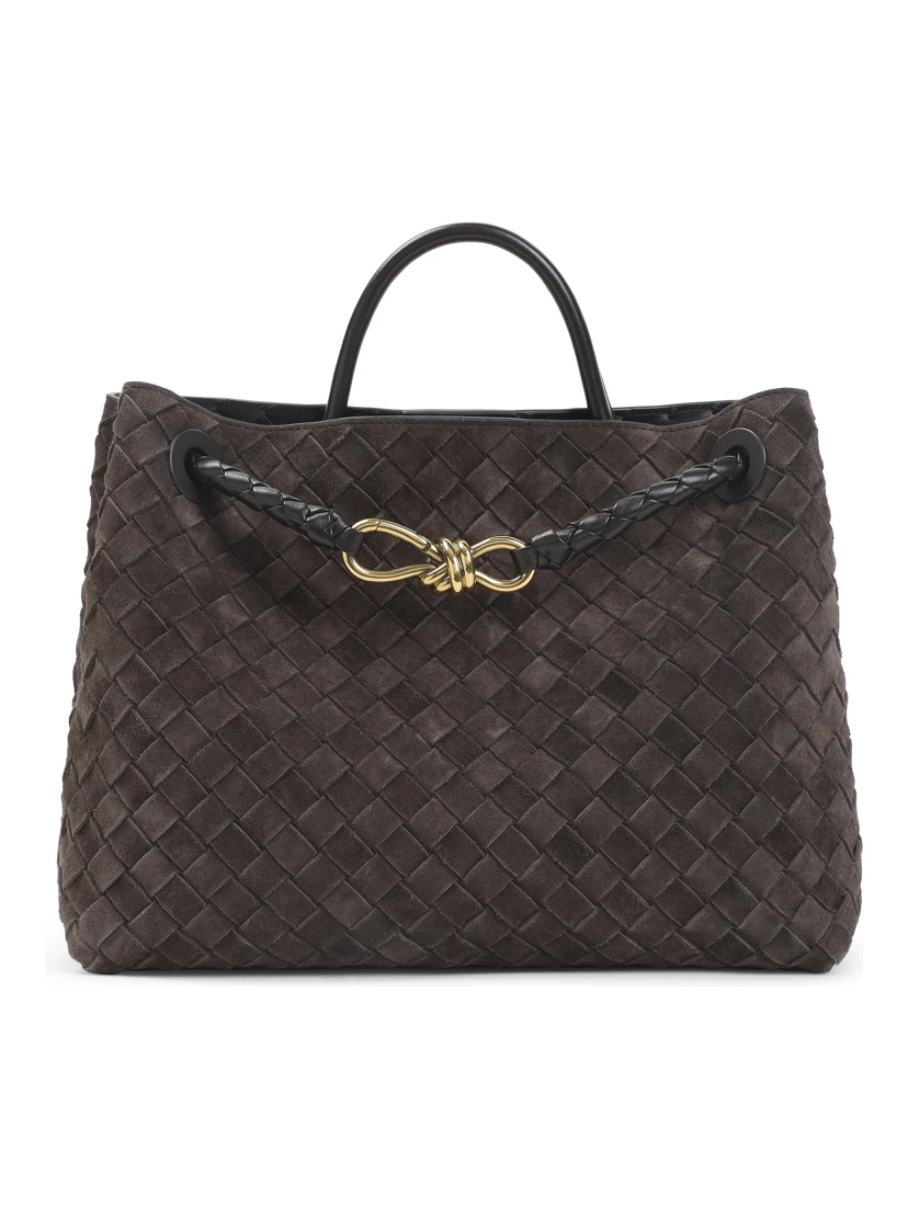 Bottega Veneta Medium Andiamo Bag