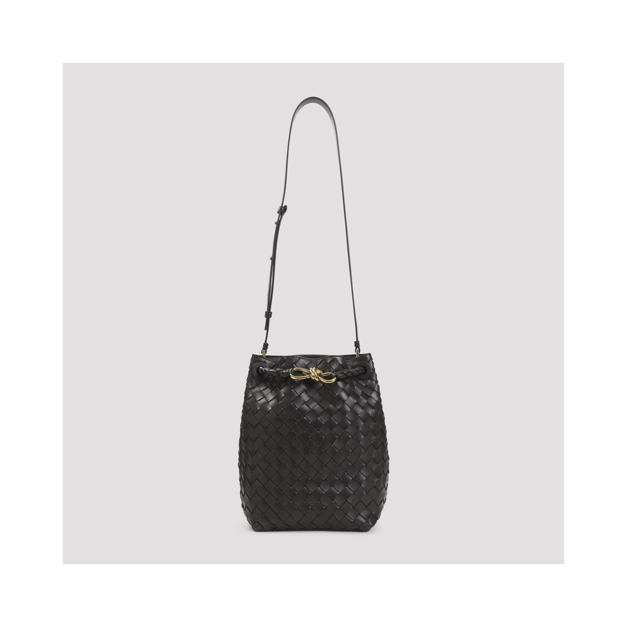 Bottega Veneta Andiamo Bucket Bag