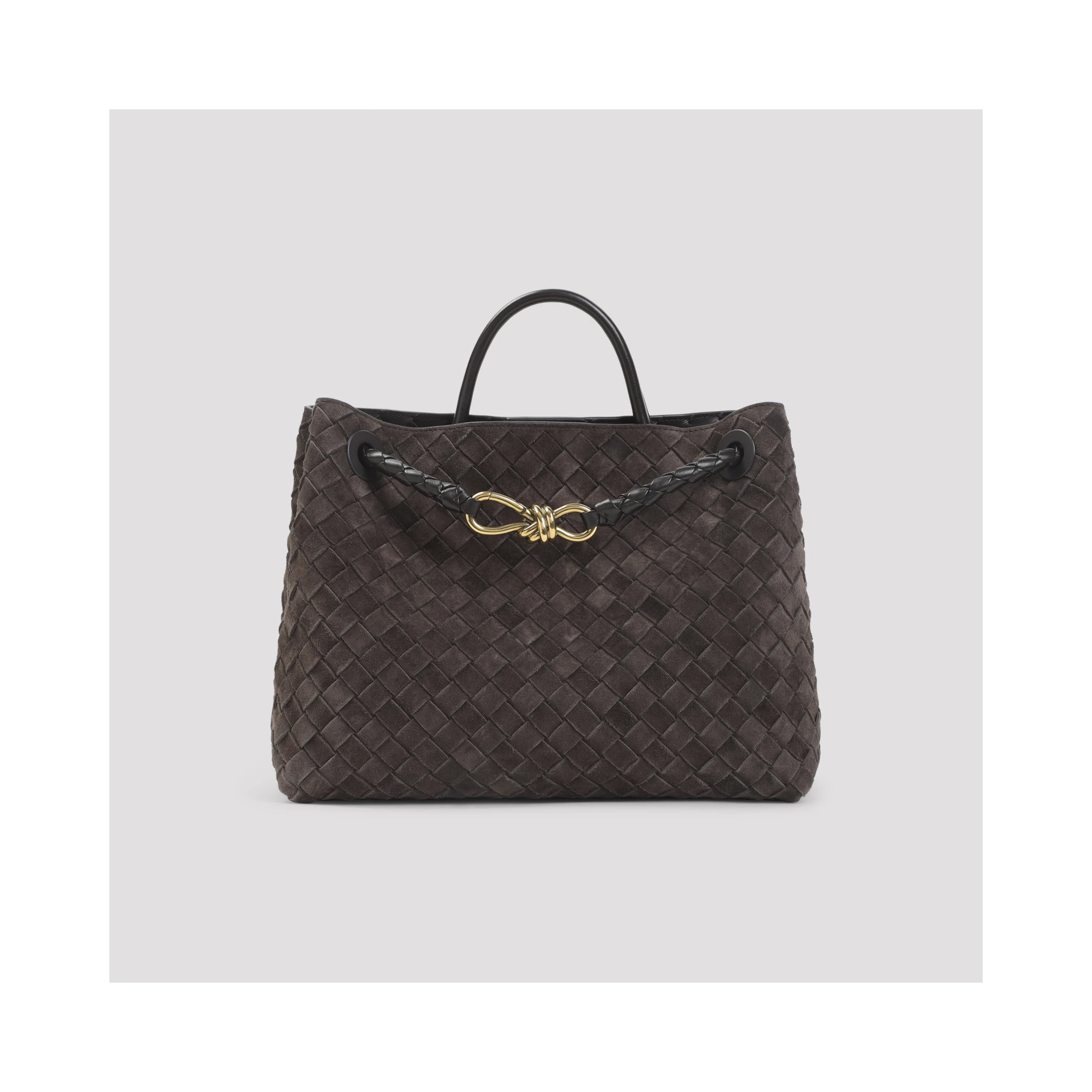 Bottega Veneta Medium Andiamo Bag