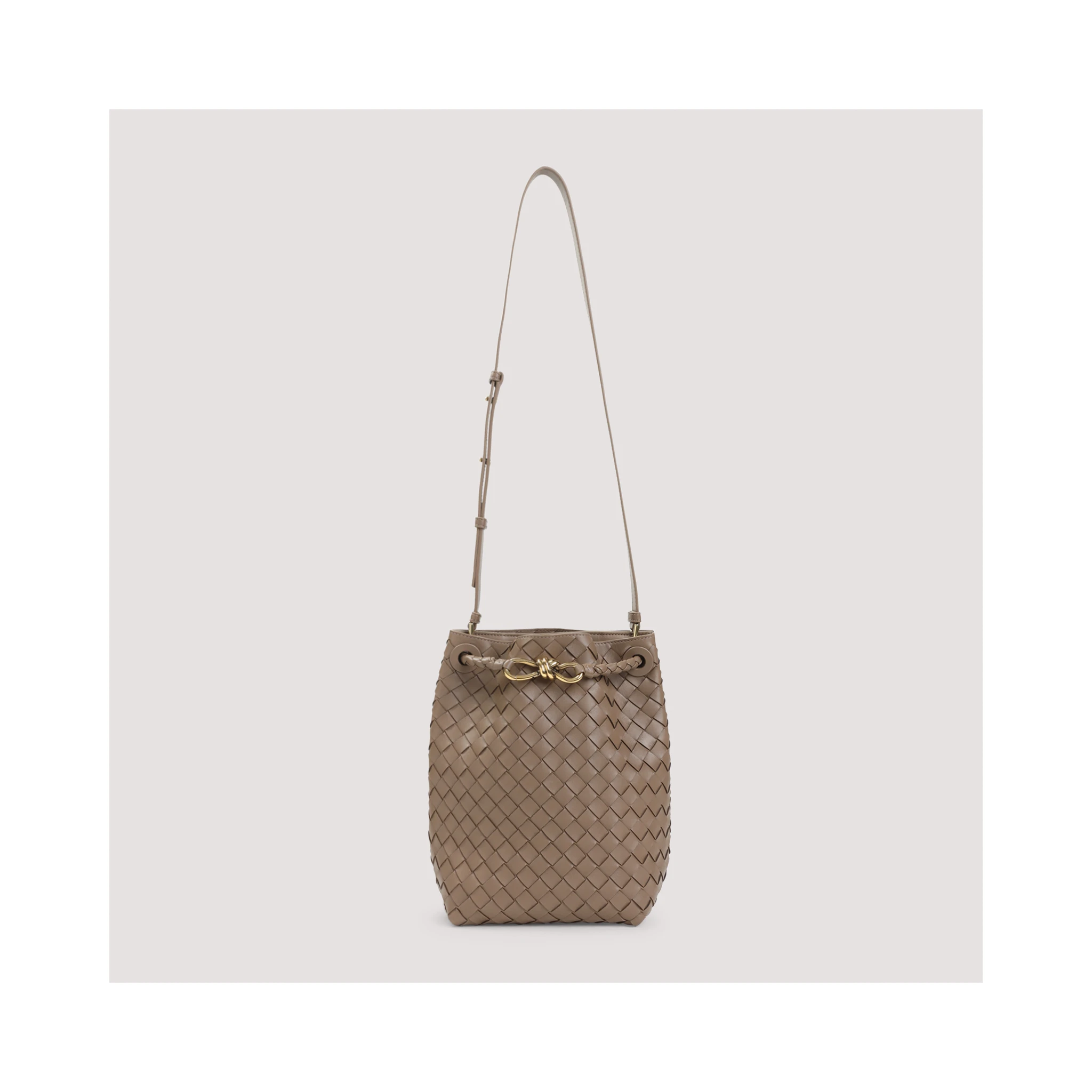Bottega Veneta Andiamo Bucket Bag