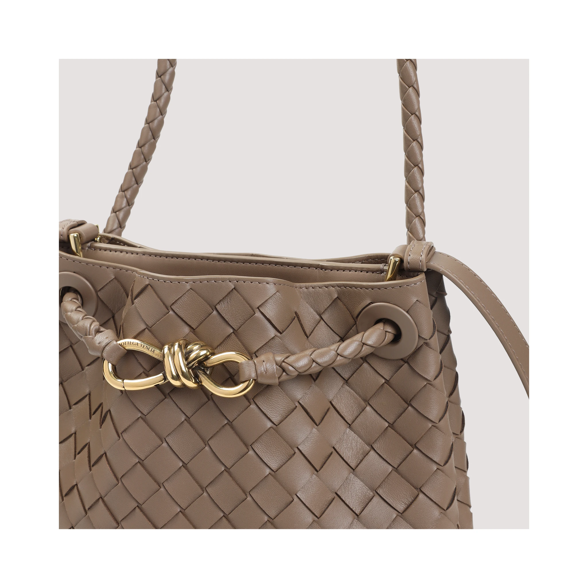 Bottega Veneta Andiamo Bucket Bag