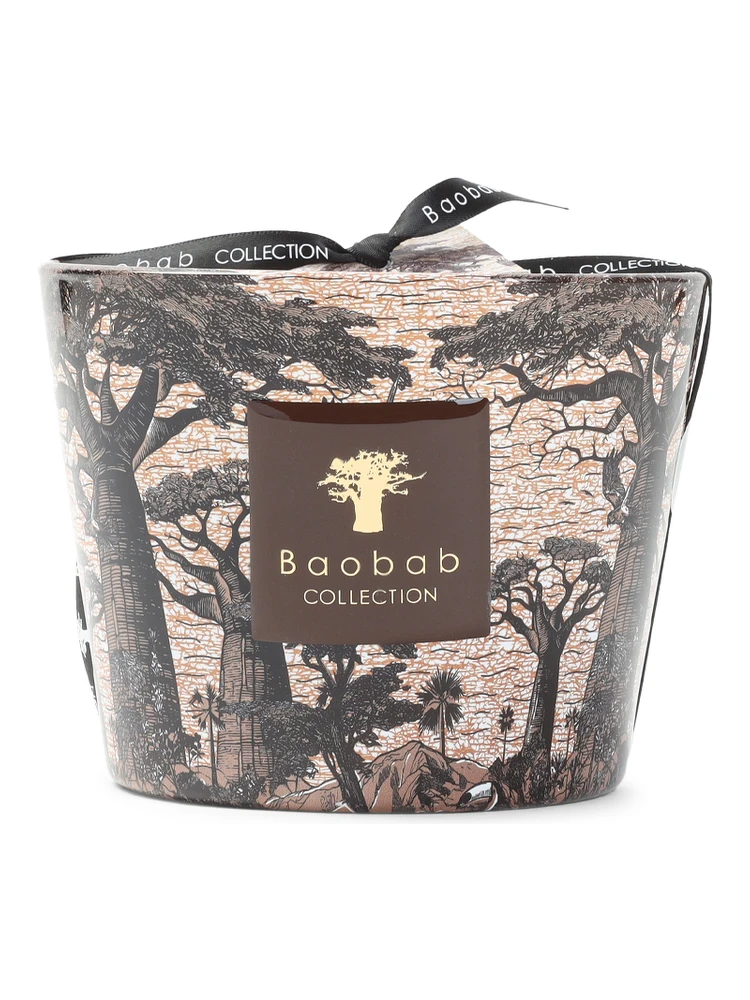 Baobab Collection Sacred Tress Mankono Max10 Candle alternative