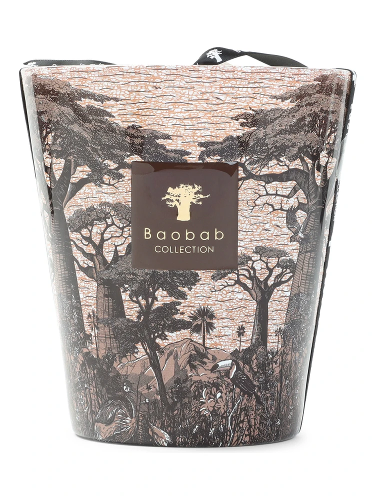 Baobab Collection Sacred Tress Mankono Max16 Candle alternative