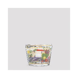 Baobab Collection Provence Candle Max 10
